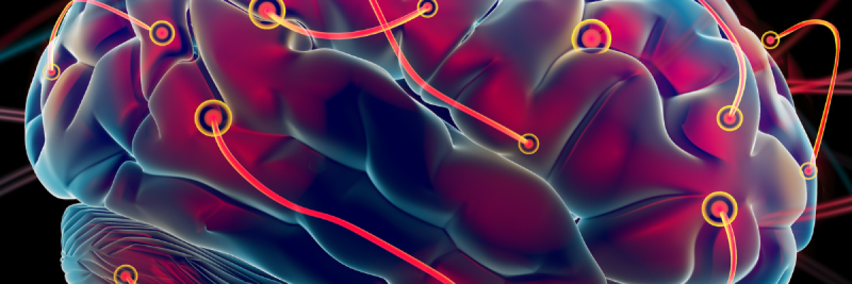 Brain Lymphatics blog