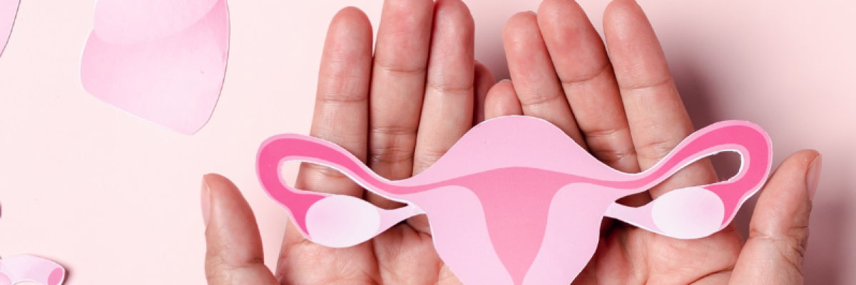 Female hormones blog