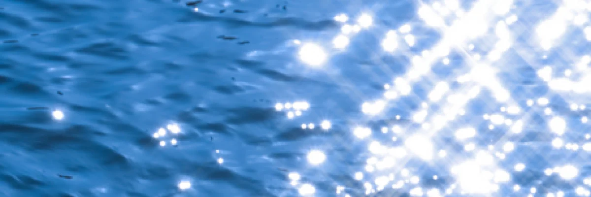 ba98f4_01e09a6d0eef4328a1ba5d0df650a7c3_mv2