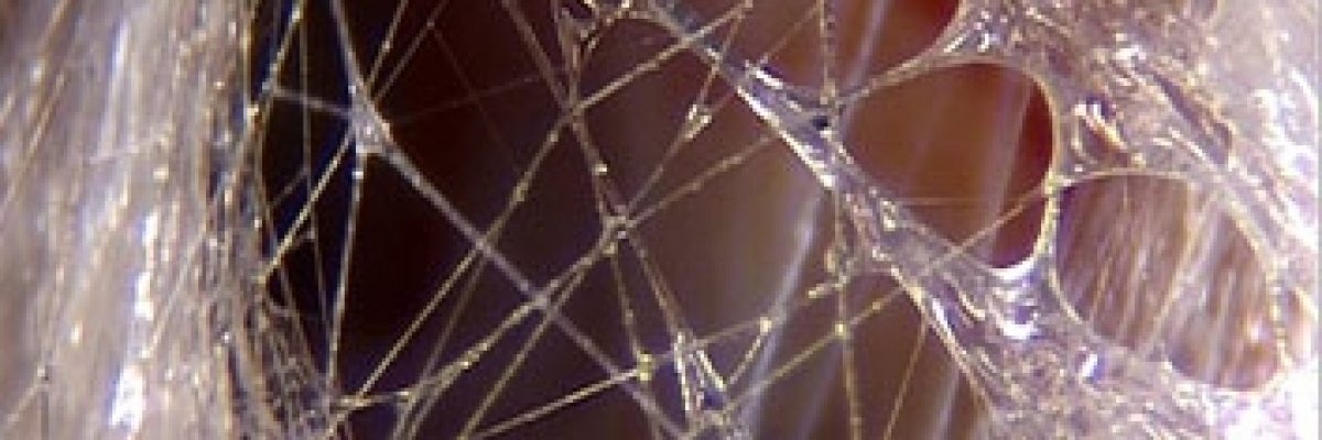 ba98f4_02d4b7d32bdf48f7aefd4ea430218f97_mv2