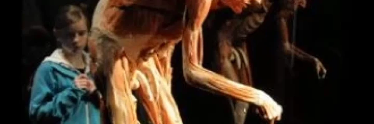 ba98f4_1778ebf747ef41b286fa73a62f275d39_mv2