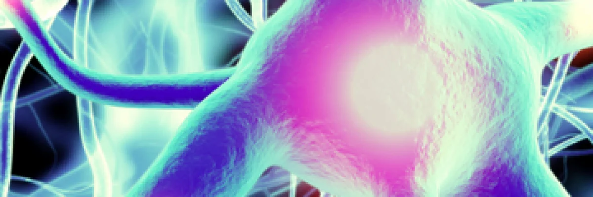 ba98f4_61e1d22eb194441398905b16f36fa699_mv2